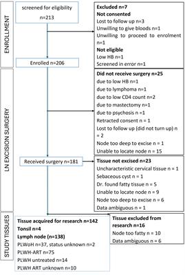 Safety and practicality of an excisional lymph node study driving HIV cure research in South Africa